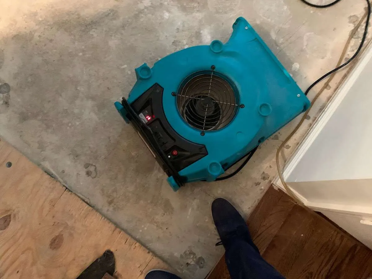 Air mover drying subfloor during Leak Detection & Repair in Trinity
